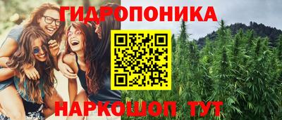 дурь Шахты