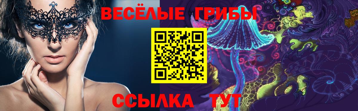 Псилоцибиновые грибы Psilocybe  купить наркотик  Псилоцибиновые грибы ЛСД  Волгодонск  Вход с VPN 