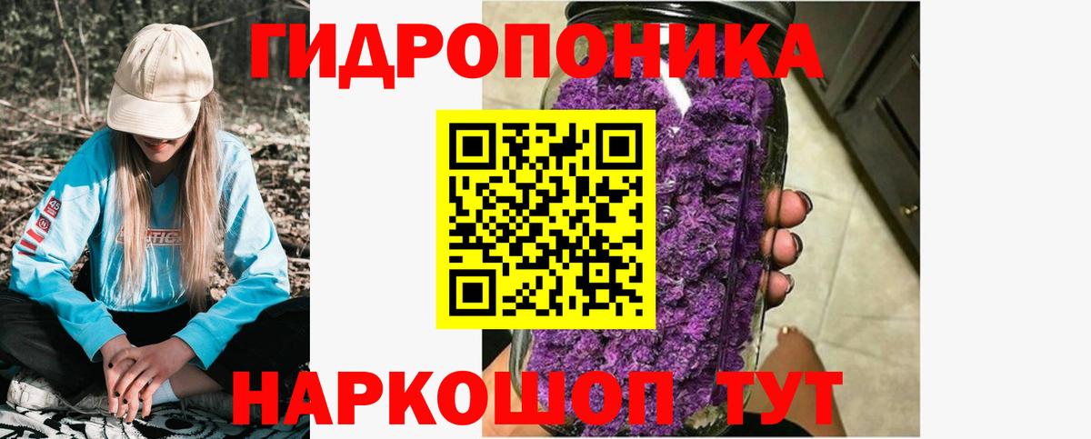 Каннабис OG Kush  Вход с VPN  Волгодонск  МАРИХУАНА сатива 